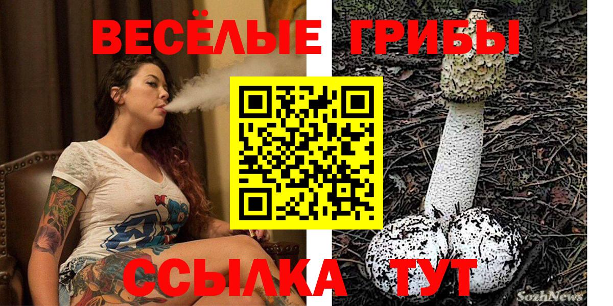 Галлюциногенные грибы MAGIC MUSHROOMS  Псилоцибиновые грибы мицелий  Вход с VPN  Нефтекамск 